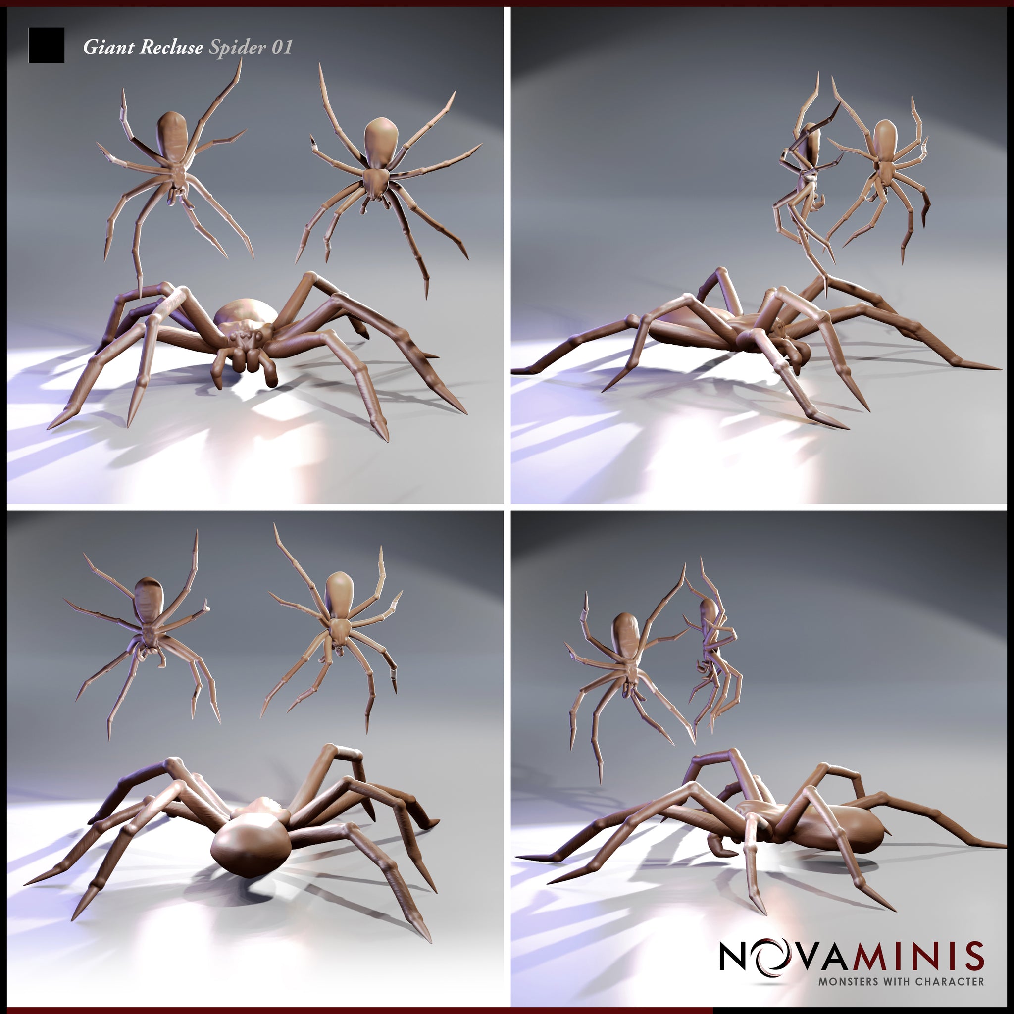 Giant Recluse Spider Bundle by Novaminis