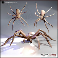 Giant Recluse Spider Bundle by Novaminis