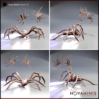 Giant Recluse Spider Bundle by Novaminis