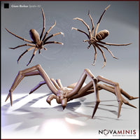 Giant Recluse Spider Bundle by Novaminis