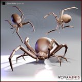 Giant Widow Spider Bundle by Novaminis