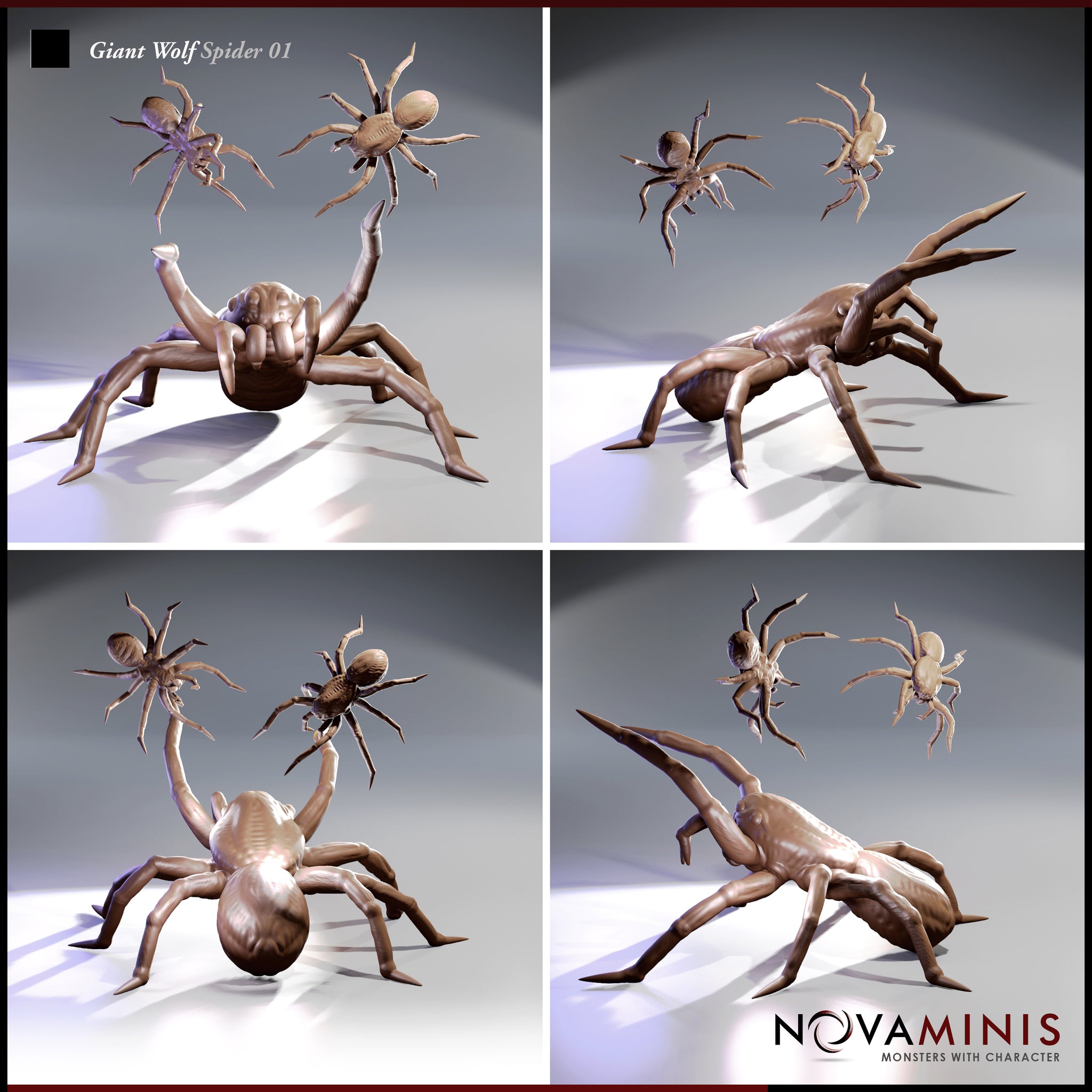 Giant Wolf Spider Bundle by Novaminis