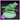 Jumping Forest Sprite Wolf by Ella's Arcanum Minis