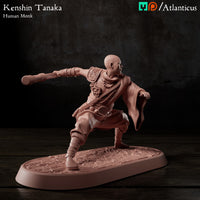 Kenshin Tanaka Human Monk w/Staff Squarestance by Atlanticus Arts