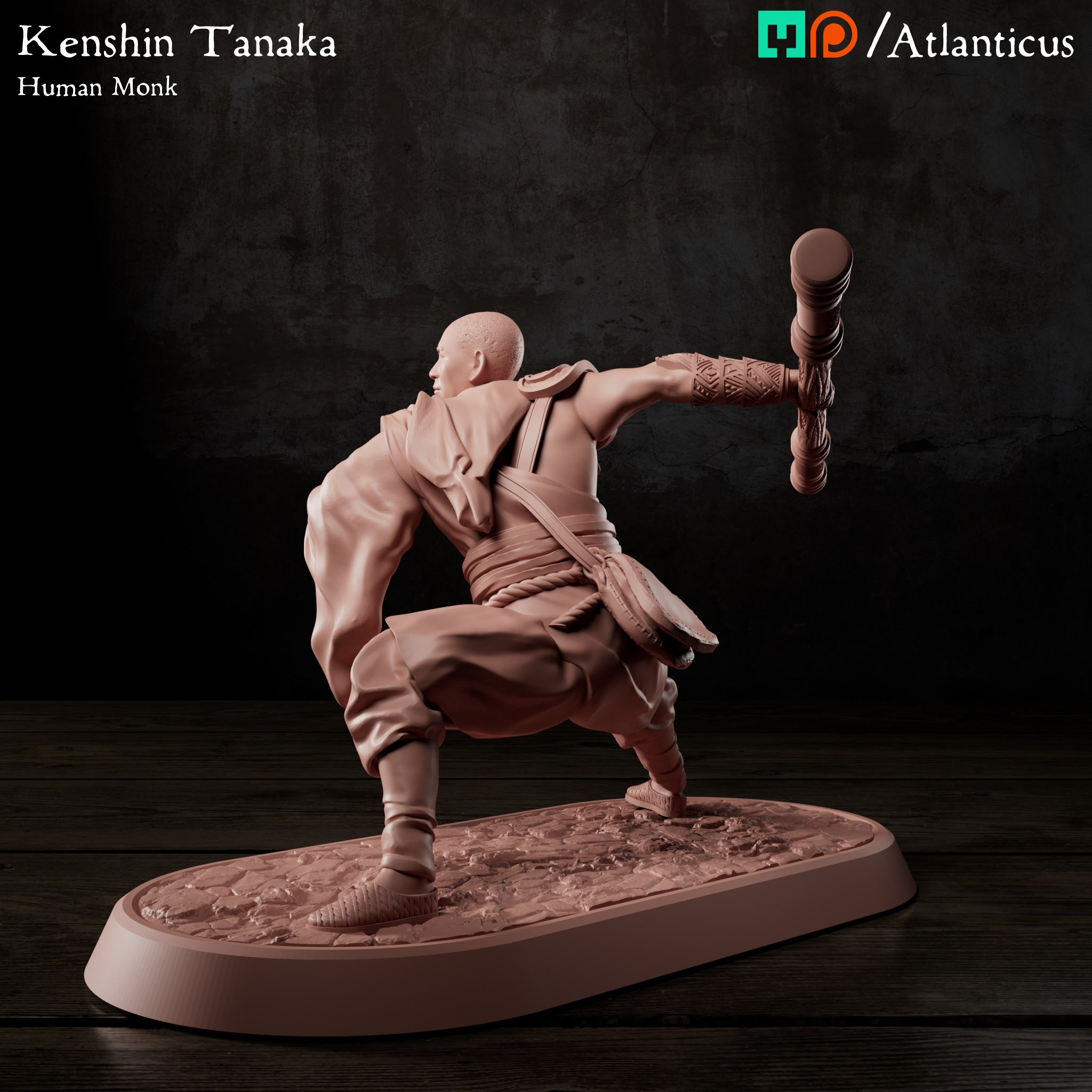 Kenshin Tanaka Human Monk w/Staff Squarestance by Atlanticus Arts