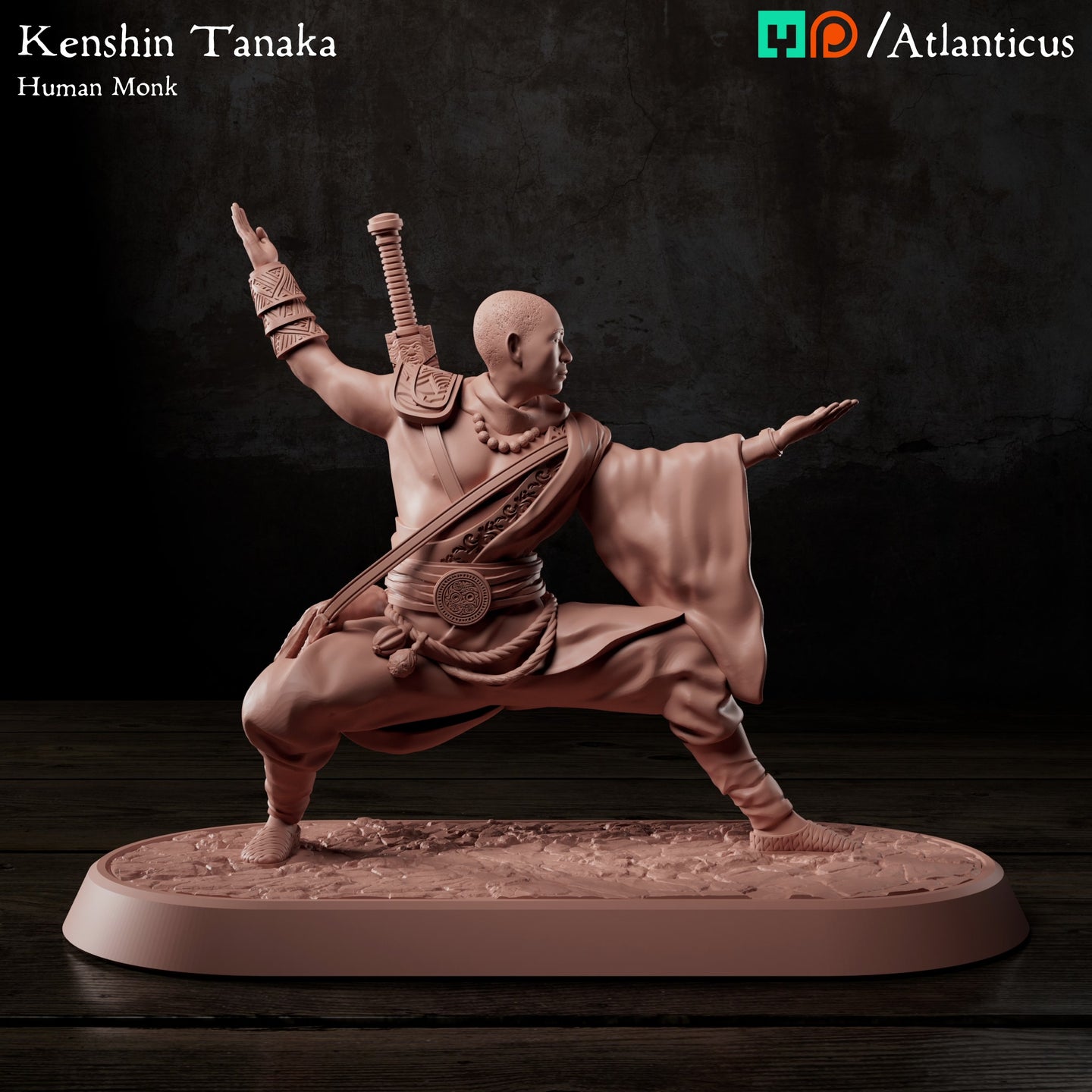 Kenshin Tanaka Human Monk Unarmed Backstance by Atlanticus Arts