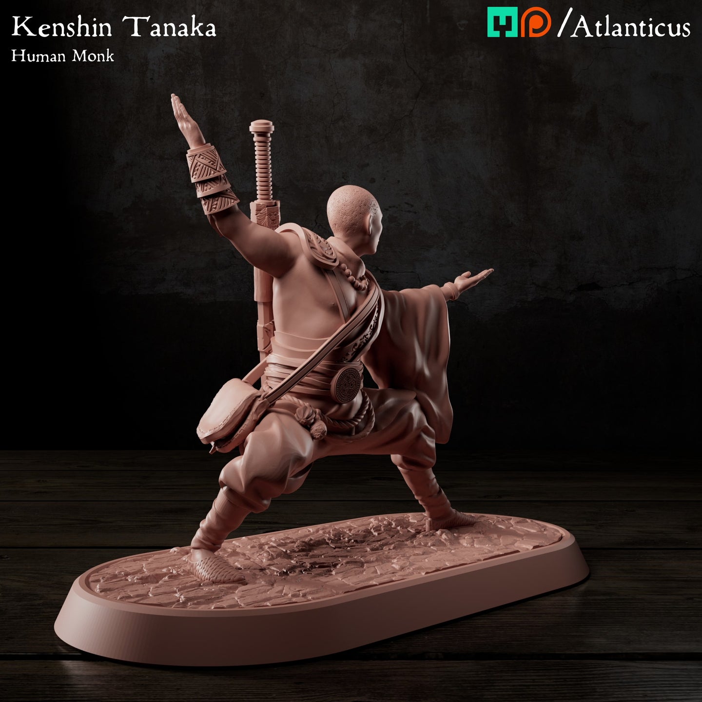 Kenshin Tanaka Human Monk Unarmed Backstance by Atlanticus Arts