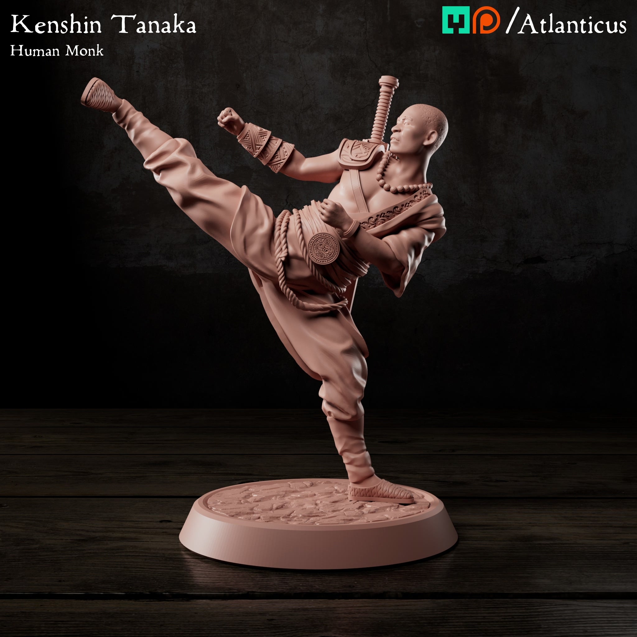 Kenshin Tanaka Human Monk Unarmed Kicking by Atlanticus Arts