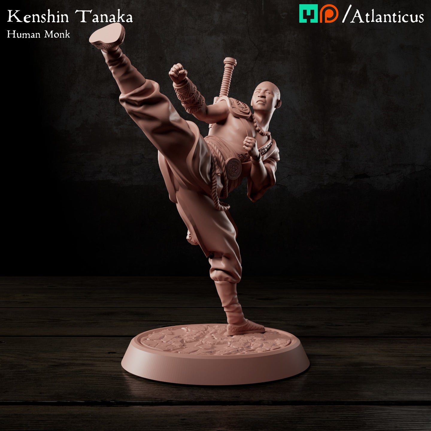 Kenshin Tanaka Human Monk Unarmed Kicking by Atlanticus Arts