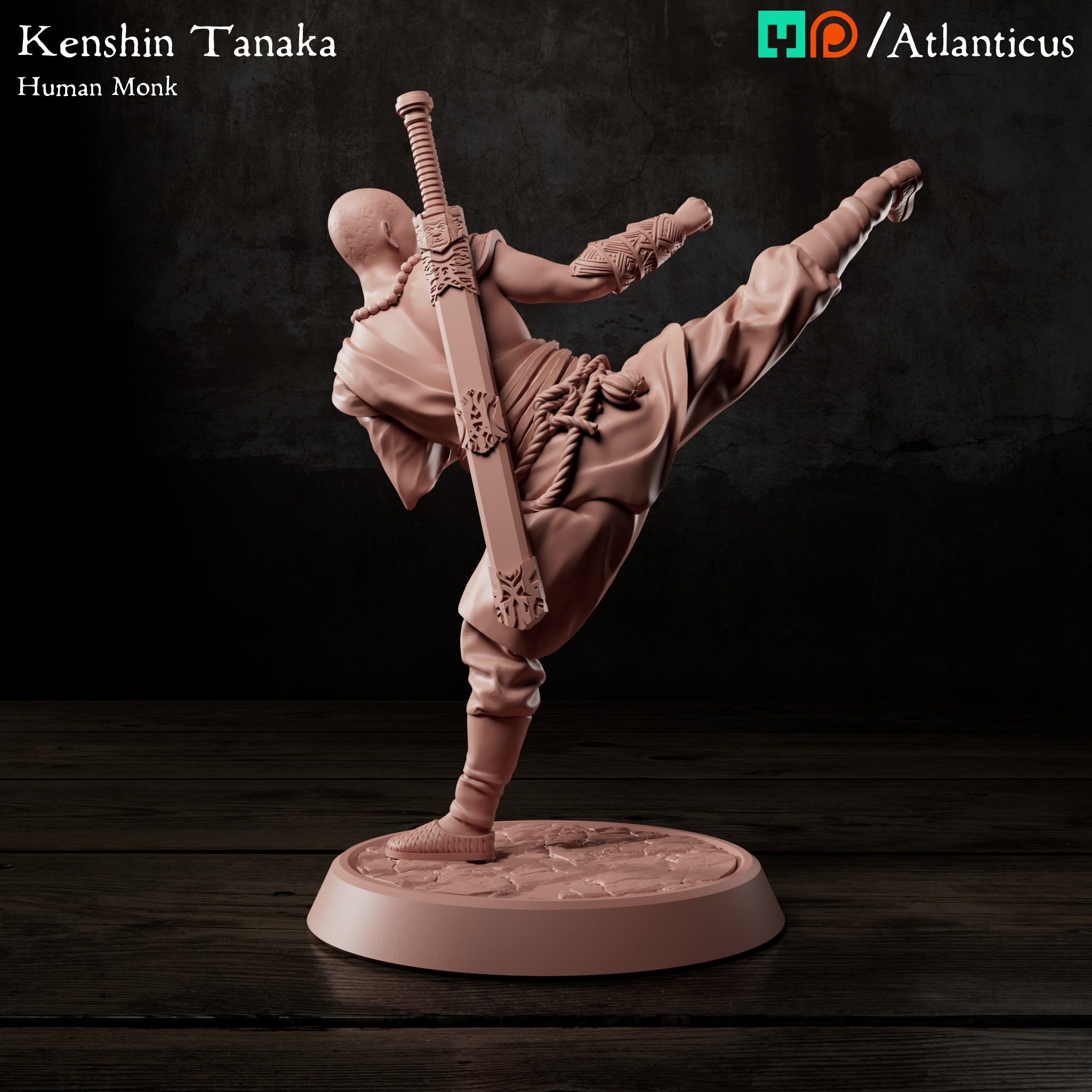 Kenshin Tanaka Human Monk Unarmed Kicking by Atlanticus Arts