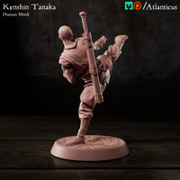 Kenshin Tanaka Human Monk Unarmed Kicking by Atlanticus Arts