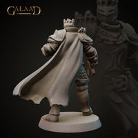 Armoured King 01 by Galaad Miniatures