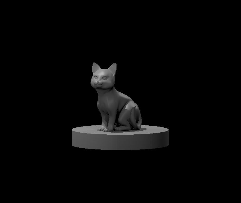 Kitten by MZ4250