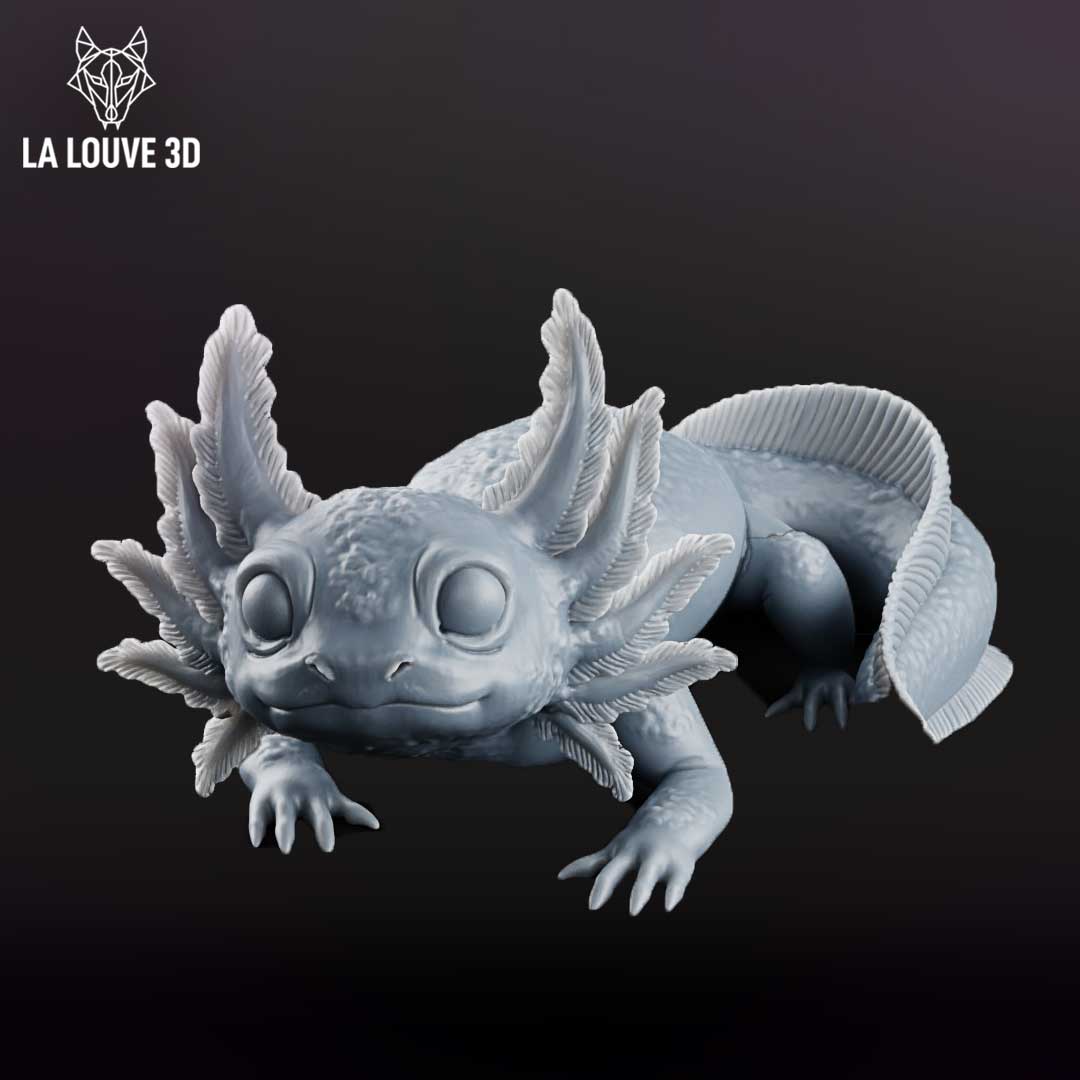Baby Axolotl by La Louve 3D