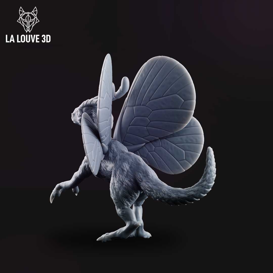 Aerix by La Louve 3D