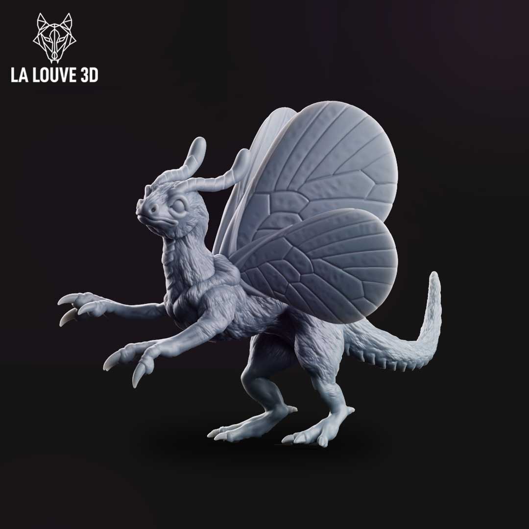 Aerix by La Louve 3D