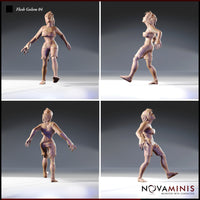 Flesh Golem Bundle by Novaminis