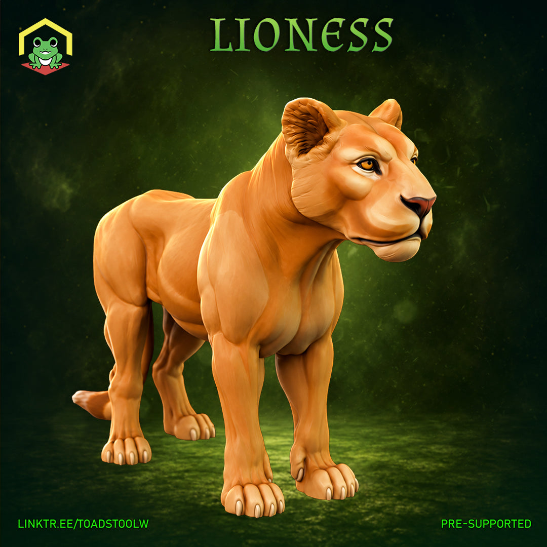 A lioness standing in an alert pose, head raised and turned slightly, weight shifted forward. Heavily muscled shoulders, chest and forelegs with detailed paw sculpting. By The Toadstool Weaver.