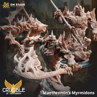 Myrmidon Bundle by DM Stash