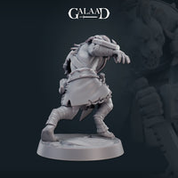 Male Gnoll Bundle by Galaad Miniatures