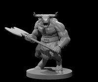 Grey resin digital render of a male minotaur barbarian miniature at 32mm scale, posed in a forward charge with a wide-bladed great axe held low across the body, mouth open in a roar, wearing a leather belt and loincloth, mounted on a round base