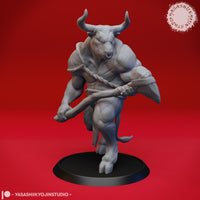 Minotaur Bundle by Yasashii Kyojin Studios