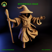 Mysterious Mage by The Toadstool Weaver