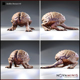 Four-angle digital render sheet of Intellect Devourer 01 by Novaminis — front, side, rear, and three-quarter views showing the crouching brain-creature with wide-set clawed limbs and deeply folded cortical surface detail