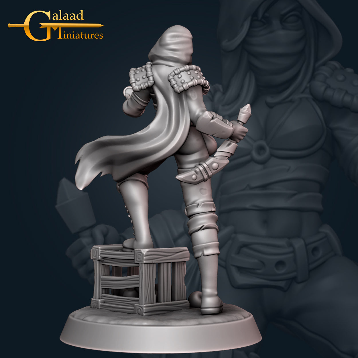 Nadia Rogue by Galaad Miniatures