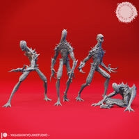 Needle Blight Bundle by Yasashii Kyojin Studios