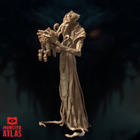 Nihiloor by Monster Atlas viewed from a slightly closer angle, showing the tentacled face and coiling appendages more clearly, with the intellect devourer cradled in both hands, the fabric of the robes falling in deep layered folds.
