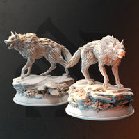 Northern Dire Wolf B by DM Stash