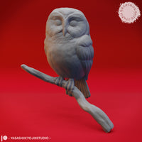 Northern Saw Whet Owl Bust by Yasashii Kyojin Studios