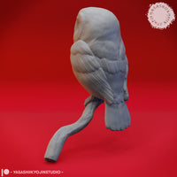 Northern Saw Whet Owl Bust by Yasashii Kyojin Studios