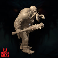 Ogre Cenomorph by Monster Atlas