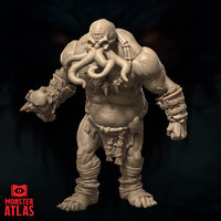 Ogre Cenomorph by Monster Atlas