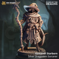 Silver Dragonborn Sorcerer (Ozmandi Starborn) by DM Stash