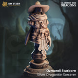 Silver Dragonborn Sorcerer (Ozmandi Starborn) Bust  by DM Stash