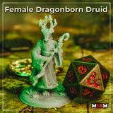 Photograph of a printed and uncured Female Dragonborn Druid miniature in translucent green resin, shown on a tabletop map alongside a large stone D20 die. The sculpt shows clear detail on the antlered crown, blossom-covered staff, and textured robe folds.