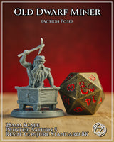 Old Dwarf Miner Action by Mia Kay M3DM