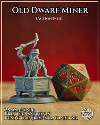Old Dwarf Miner Action by Mia Kay M3DM