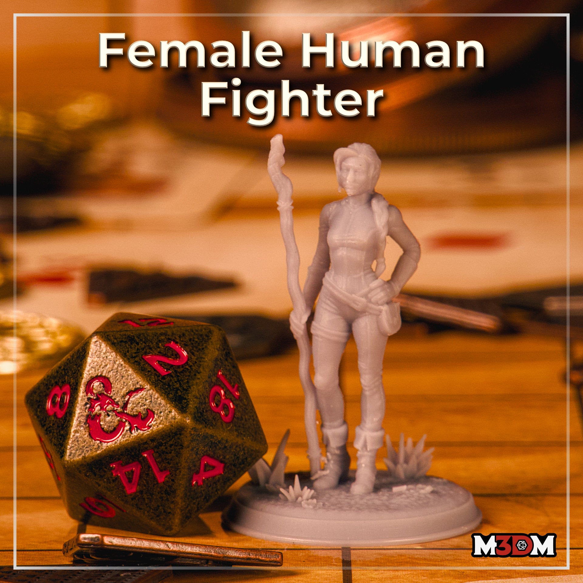 Female Human Fighter by Mia Kay M3DM