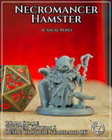 Hamsterfolk Necromancer Casual by Mia Kay M3DM