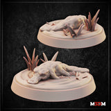 Two digital render views of an unpainted resin platypus miniature on scenic oval bases with rippled water and marsh reeds — front-facing variant in foreground, rear-angled variant behind, shown against a dark textured background