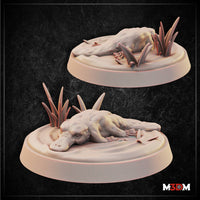 Two digital render views of an unpainted resin platypus miniature on scenic oval bases with rippled water and marsh reeds — front-facing variant in foreground, rear-angled variant behind, shown against a dark textured background