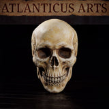 Human skull sculpt showing broad cranial dome, weathered bone surface texture with fine crack lines across the forehead and cheeks, and hollow eye sockets with visible depth. Sculpt by Atlanticus Arts.