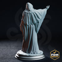 Cultist figure seen from behind, deep folds of layered robes trailing to the base, one arm extended upward and outward, cowl gathered at the neck, ragged hem detail at the bottom of the robe. Sculpt by DM Stash.