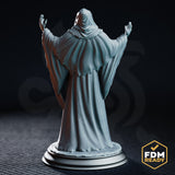 Robed cultist figure seen from behind, hood drawn up, wide sleeves and tattered robe hem billowing outward, clawed hands raised at either side, standing on a sculpted scenic base. Sculpt by DM Stash.