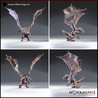 Four-angle digital render sheet of the Ancient White Dragon 01 miniature by Novaminis showing front, side, rear, and three-quarter views of the unpainted brown sculpt — detailing the textured wing membranes, individually rendered claws, dorsal spines, and coiled tail from all perspectives