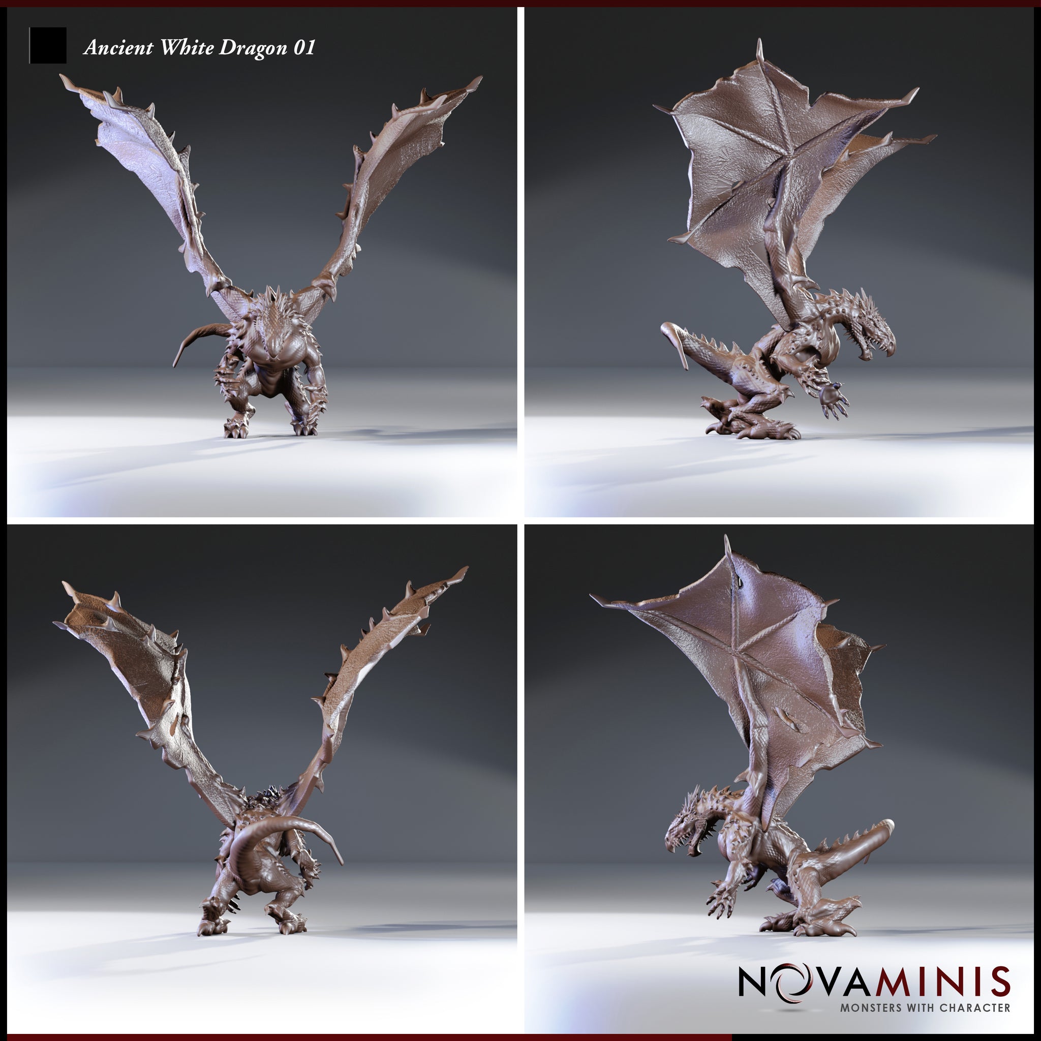 Four-angle digital render sheet of the Ancient White Dragon 01 miniature by Novaminis showing front, side, rear, and three-quarter views of the unpainted brown sculpt — detailing the textured wing membranes, individually rendered claws, dorsal spines, and coiled tail from all perspectives